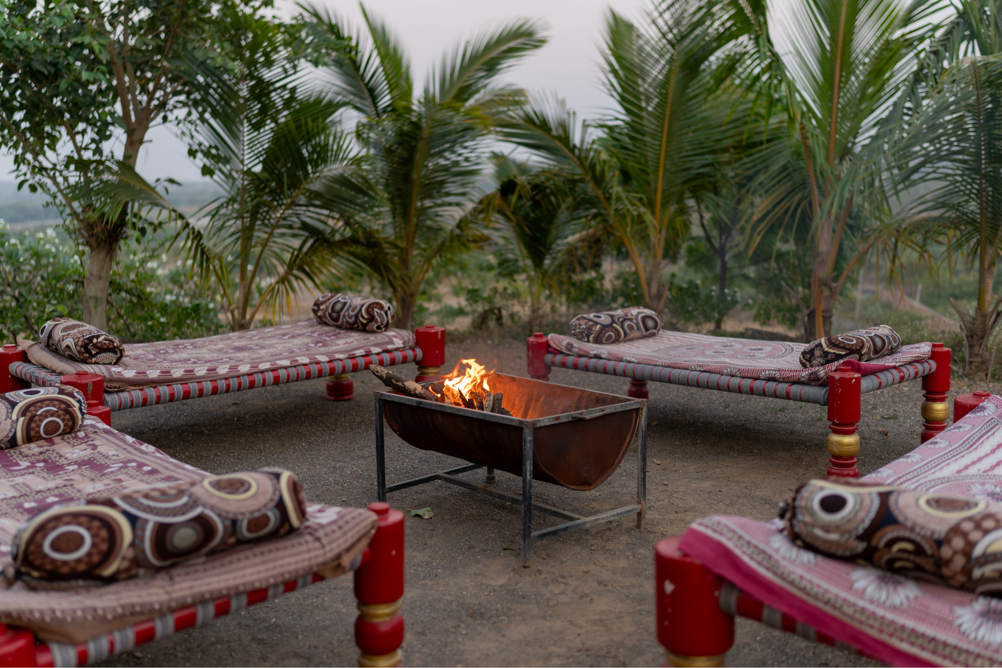 Gir Nature Village Resort entrance area