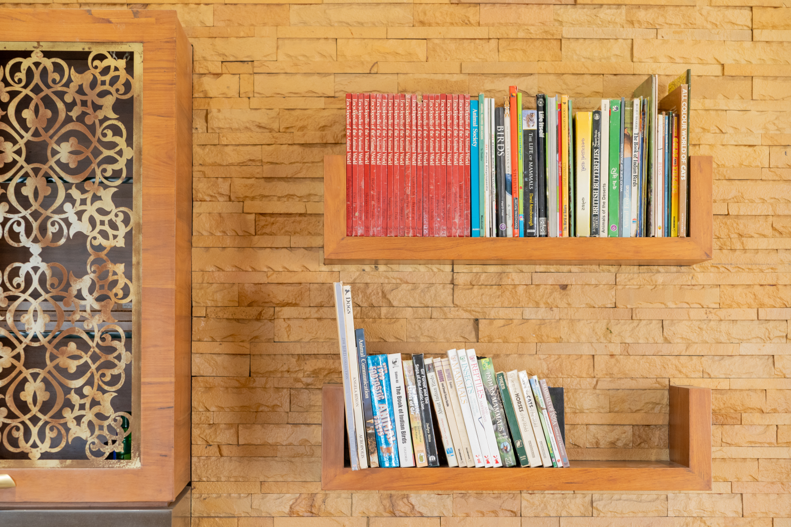 Reading Library in Gaj Kesri Resort